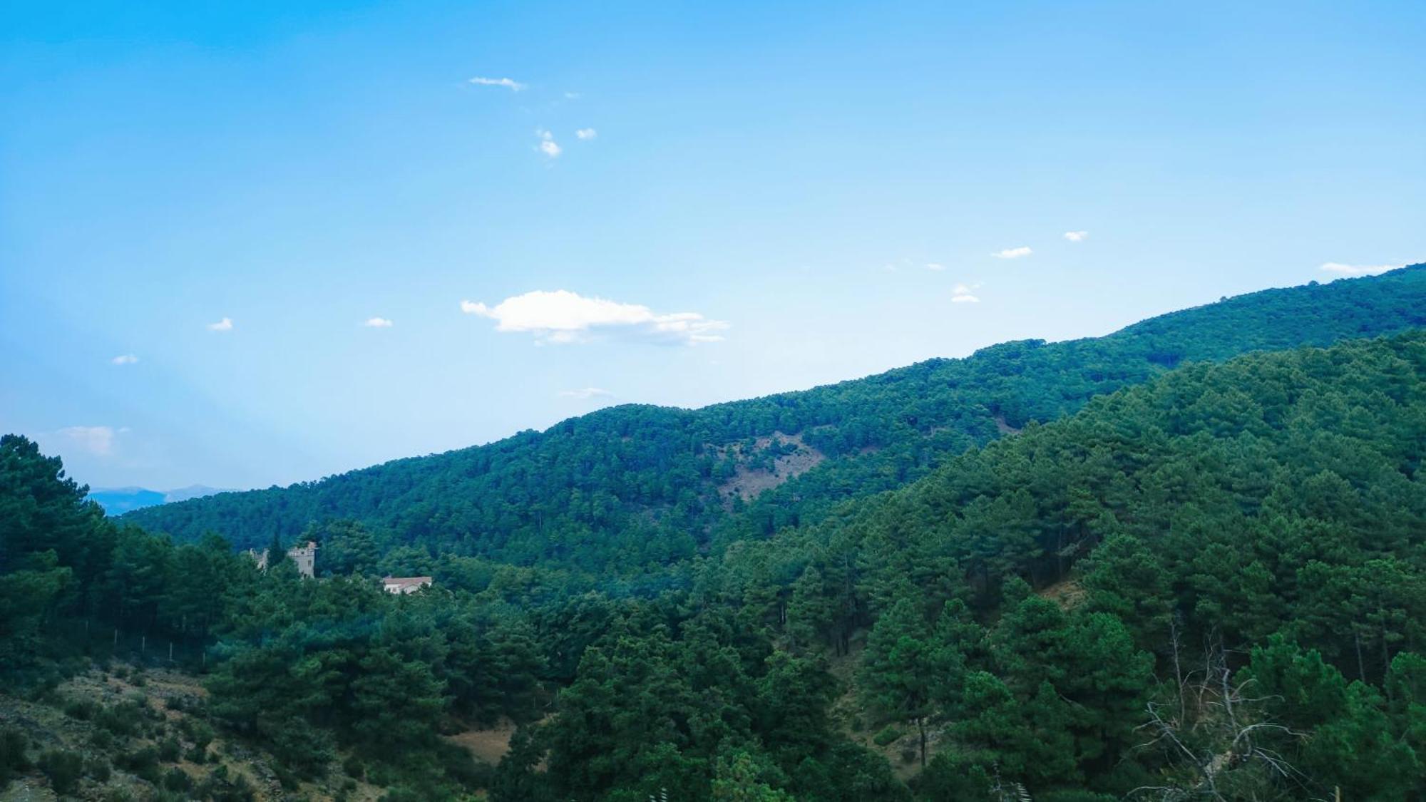 Casa Ruralrut En El Tiemblo A 1 Hora De Madrid Y A Pocos Minutos Del Castanar, Valle De Iruelas Y Embalses المظهر الخارجي الصورة