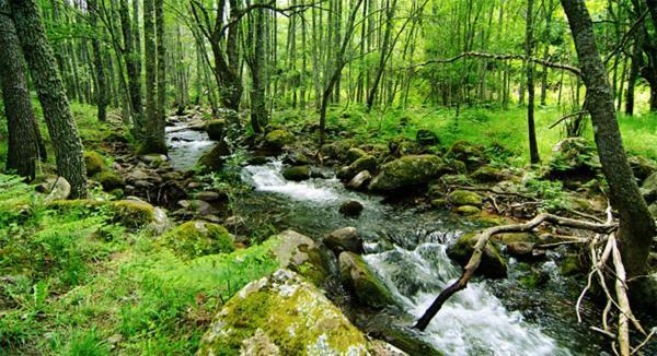 Casa Ruralrut En El Tiemblo A 1 Hora De Madrid Y A Pocos Minutos Del Castanar, Valle De Iruelas Y Embalses المظهر الخارجي الصورة
