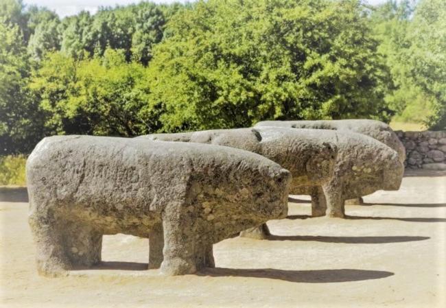 Casa Ruralrut En El Tiemblo A 1 Hora De Madrid Y A Pocos Minutos Del Castanar, Valle De Iruelas Y Embalses المظهر الخارجي الصورة