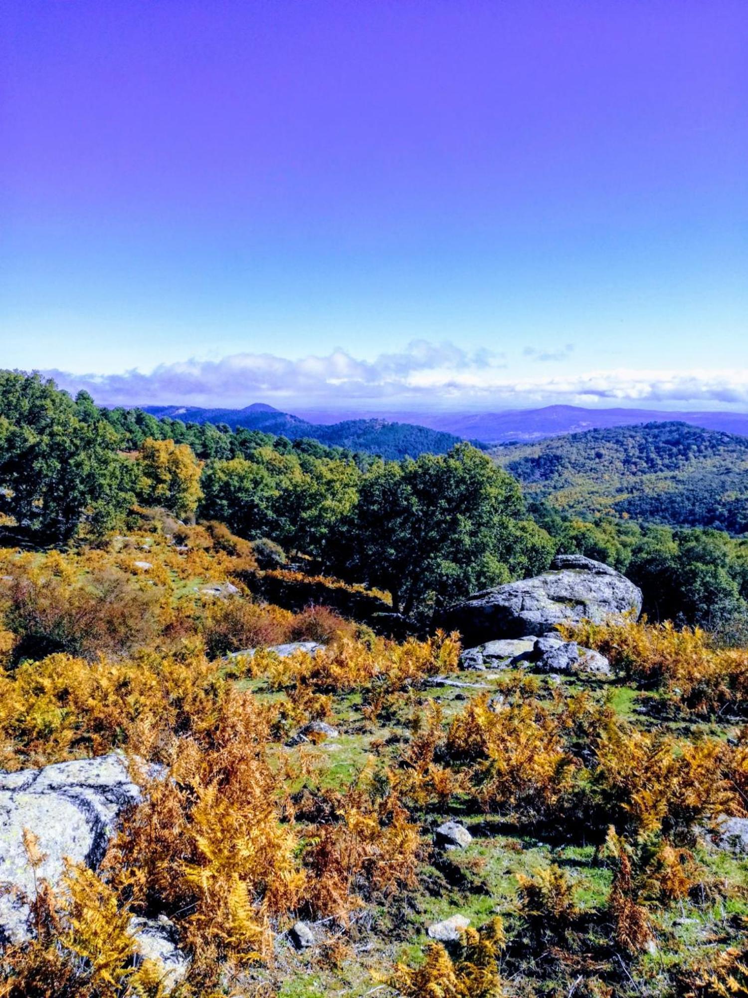 Casa Ruralrut En El Tiemblo A 1 Hora De Madrid Y A Pocos Minutos Del Castanar, Valle De Iruelas Y Embalses المظهر الخارجي الصورة